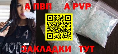 прущие грибы Усть-Джегута