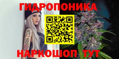 ПСИЛОЦИБИНОВЫЕ ГРИБЫ Тулун