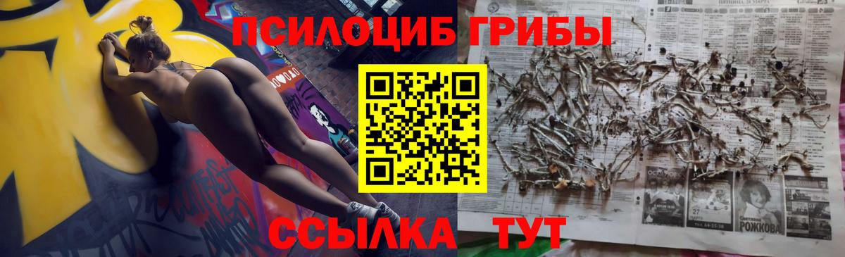 Галлюциногенные грибы Cubensis  наркошоп  Вход с VPN  Скопин  Псилоцибиновые грибы ЛСД 